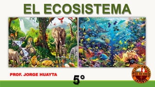EL ECOSISTEMA
5°
PROF. JORGE HUAYTA
 