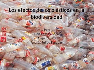 Los efectos de los plásticos en la biodiversidad Por: Juan Camilo Galvis Alejandro Gil Andrés Felipe Escobar  