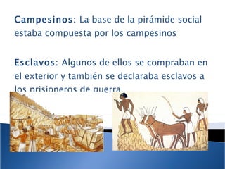 Campesinos:  La base de la pirámide social estaba compuesta por los campesinos Esclavos:  Algunos de ellos se compraban en el exterior y también se declaraba esclavos a los prisioneros de guerra. 