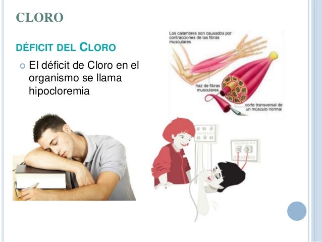 Que Hace El Cloro En El Cuerpo Humano es.slideshare.net
