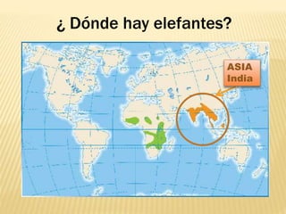 ASIA
India
¿ Dónde hay elefantes?
 