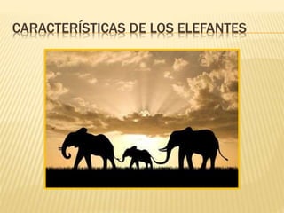 CARACTERÍSTICAS DE LOS ELEFANTES
 