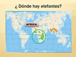 AFRICA
¿ Dónde hay elefantes?
 