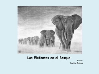 Los Elefantes en el Bosque
Autor:
Ivette Jaimes
 