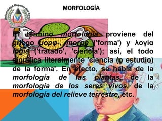 MORFOLOGÍA



El término morfología proviene del
griego μορφ-, morph ('forma') y λογία
logía ('tratado', 'ciencia'); así, el todo
significa literalmente 'ciencia (o estudio)
de la forma'. En efecto, se habla de la
morfología de las plantas, de la
morfología de los seres vivos, de la
morfología del relieve terrestre, etc.
 