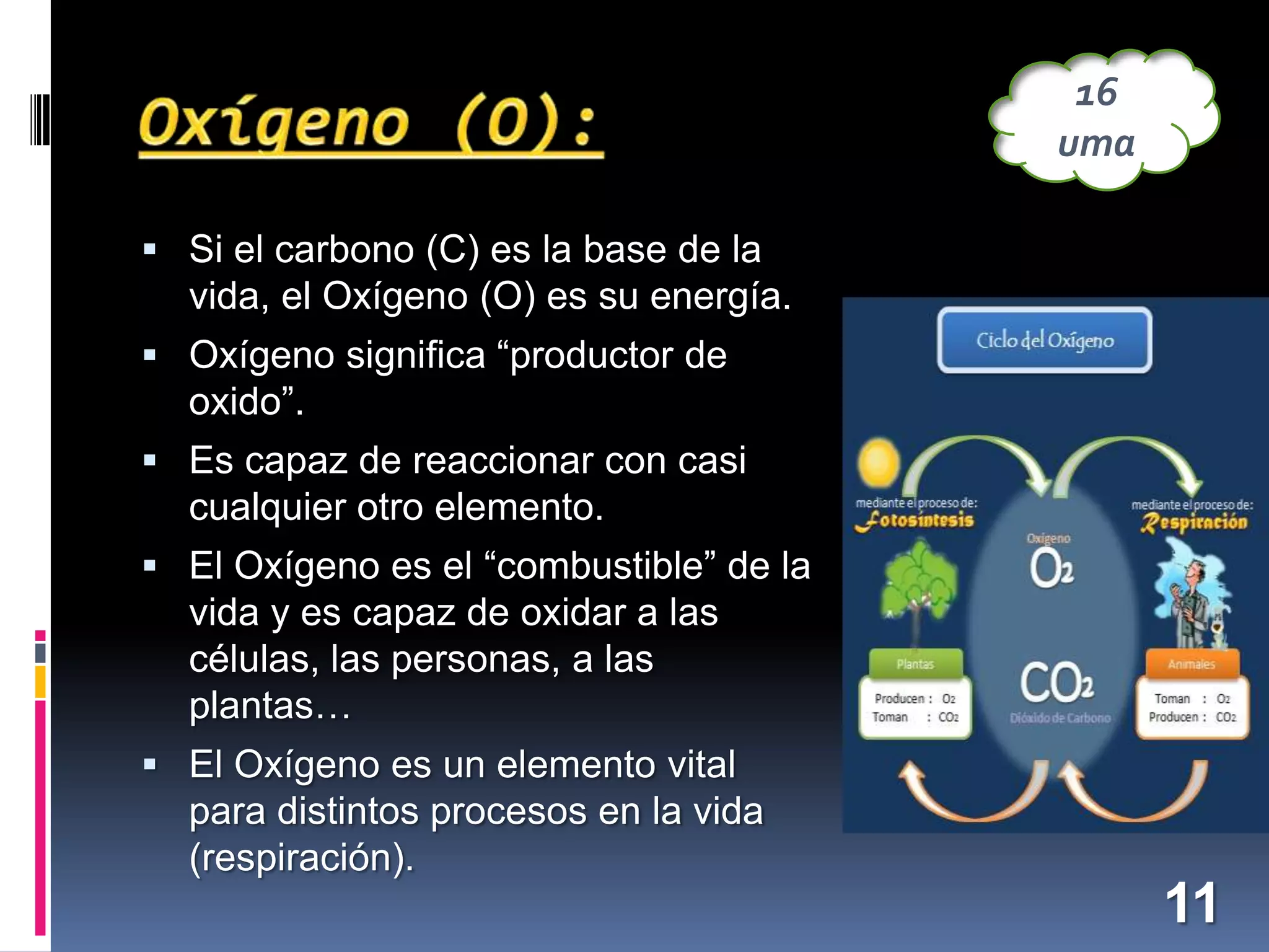 16
uma
 Si el carbono (C) es la base de la

vida, el Oxígeno (O) es su energía.
 Oxígeno significa “productor de

oxido”.
 Es capaz de reaccionar con casi

cualquier otro elemento.
 El Oxígeno es el “combustible” de la

vida y es capaz de oxidar a las
células, las personas, a las
plantas…
 El Oxígeno es un elemento vital

para distintos procesos en la vida
(respiración).

11

 