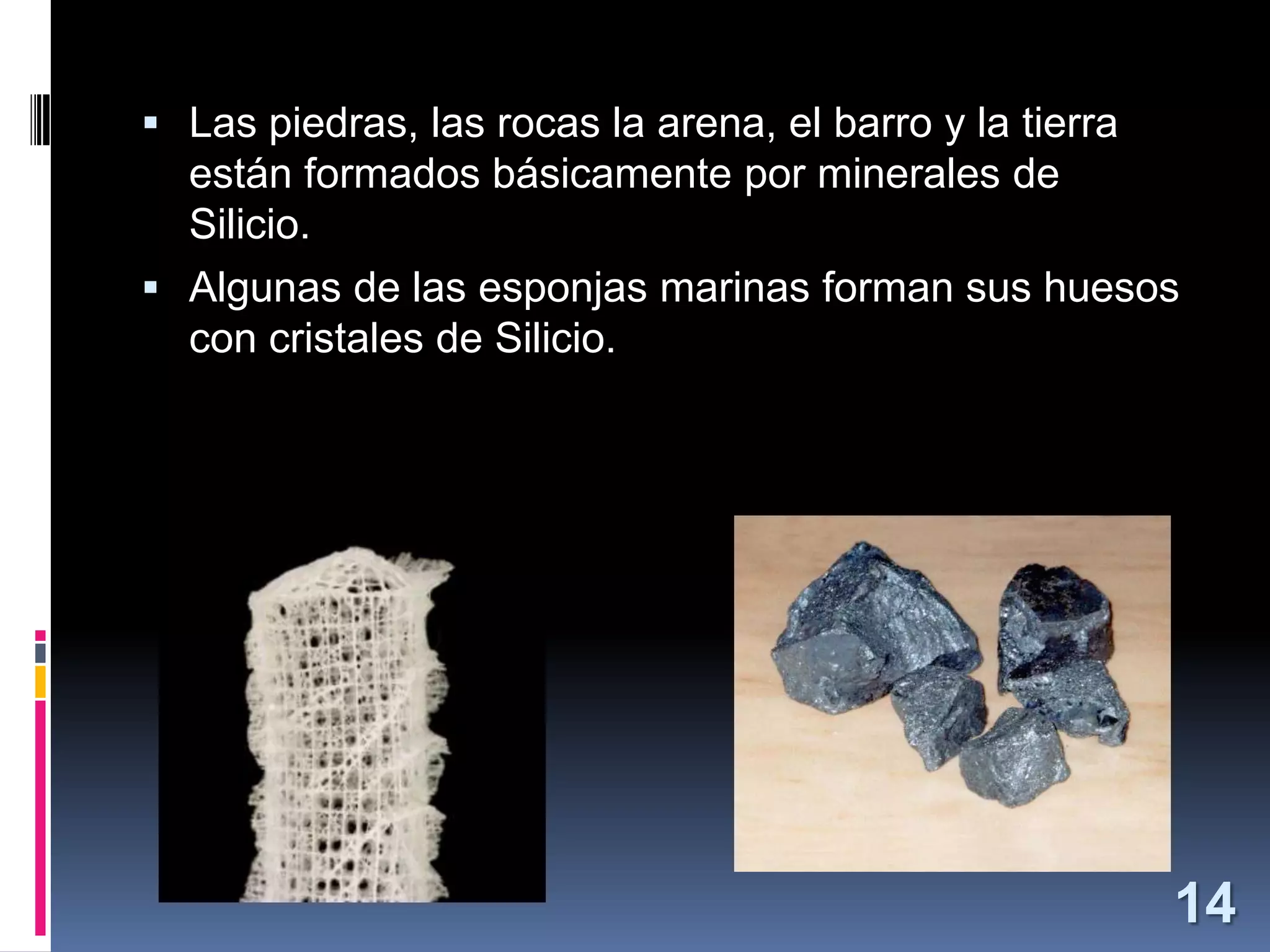  Las piedras, las rocas la arena, el barro y la tierra

están formados básicamente por minerales de
Silicio.
 Algunas de las esponjas marinas forman sus huesos
con cristales de Silicio.

14

 