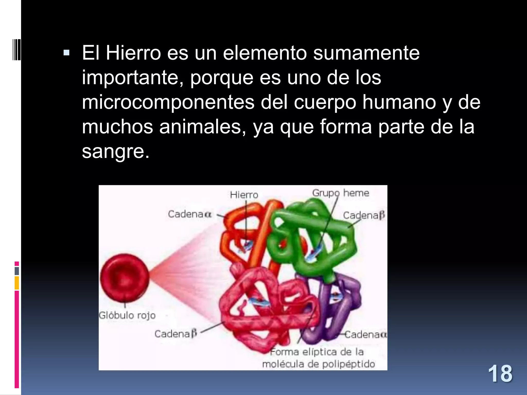  El Hierro es un elemento sumamente
importante, porque es uno de los

microcomponentes del cuerpo humano y de
muchos animales, ya que forma parte de la
sangre.

18

 