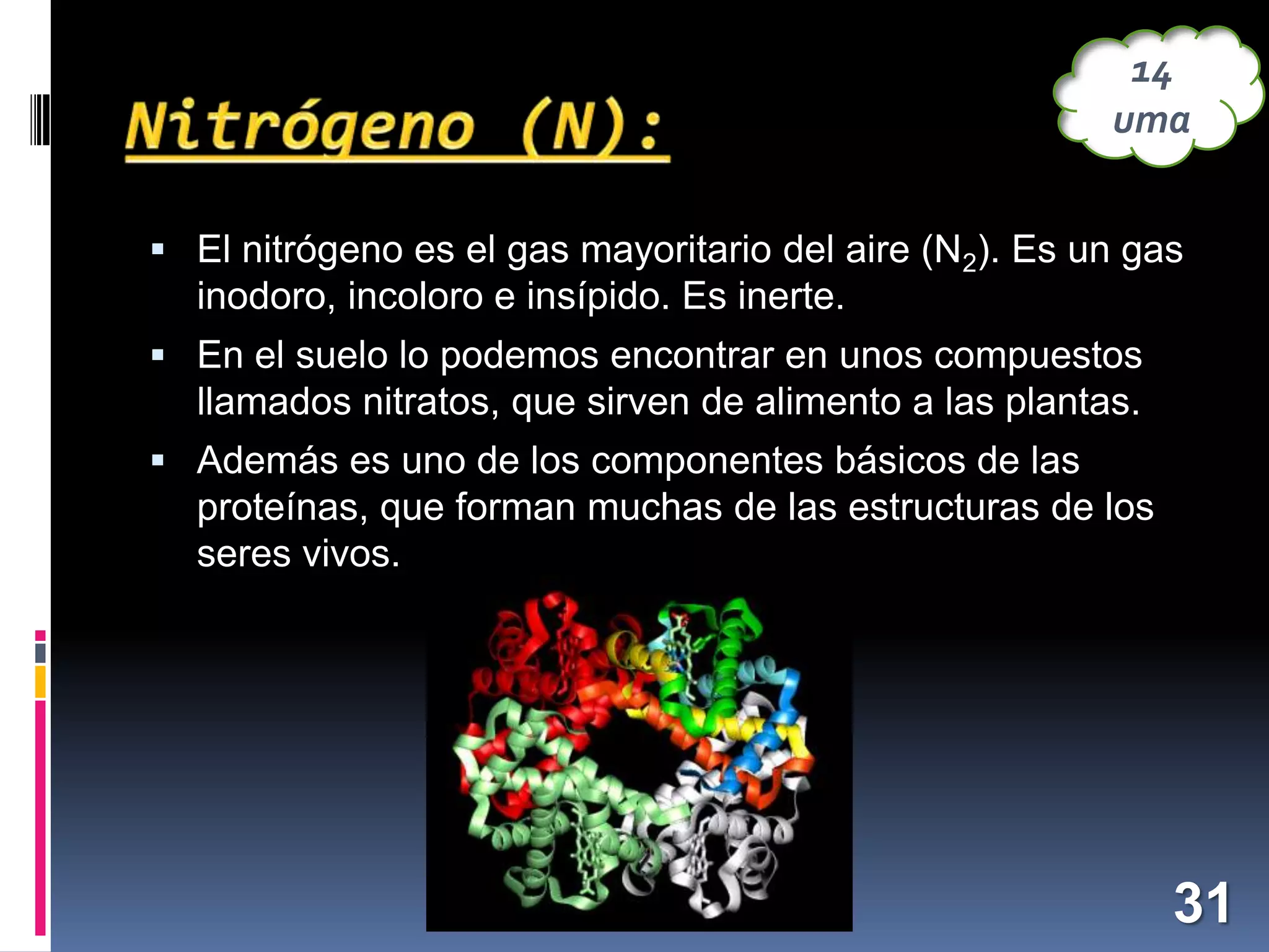 14
uma
 El nitrógeno es el gas mayoritario del aire (N2). Es un gas

inodoro, incoloro e insípido. Es inerte.
 En el suelo lo podemos encontrar en unos compuestos

llamados nitratos, que sirven de alimento a las plantas.
 Además es uno de los componentes básicos de las

proteínas, que forman muchas de las estructuras de los
seres vivos.

31

 