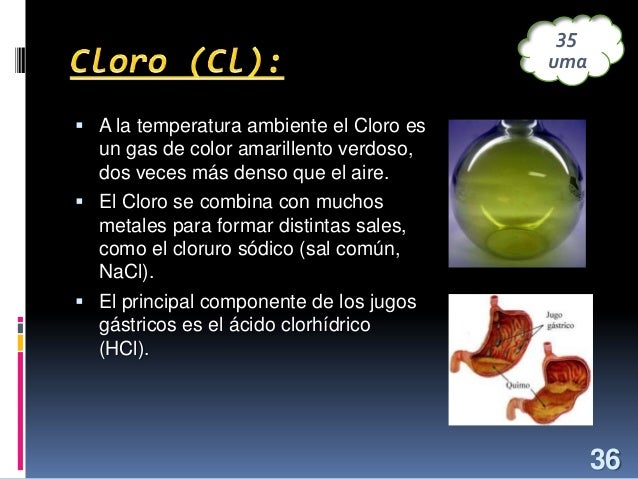 Los elementos de la tabla periódica