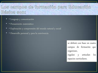 • º Lenguaje y comunicación
• º Pensamiento matemático
• º Exploración y comprensión del mundo natural y social
• º Desarrollo personal y para la convivencia
se definió con base en cuatro
campos de formación que
organizan,
regulan y articulan los
espacios curriculares.
 