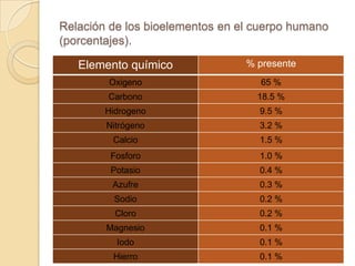 Los elementos químicos en el cuerpo humano | PPTX