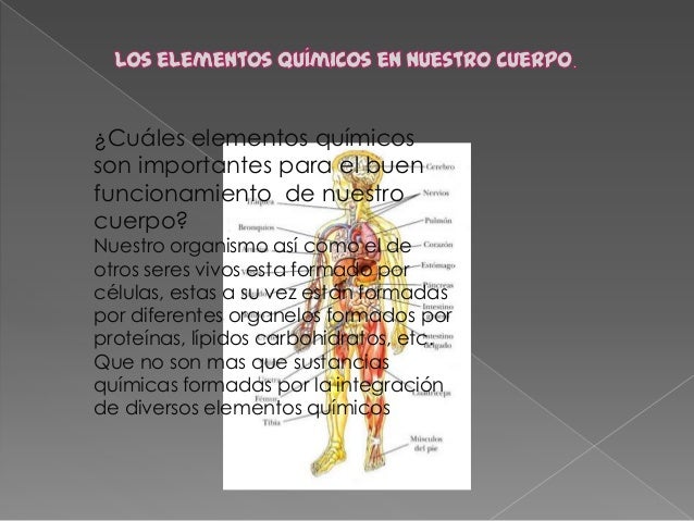 Los elementos químicos en el cuerpo humano