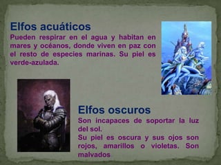 Elfos acuáticos
Pueden respirar en el agua y habitan en
mares y océanos, donde viven en paz con
el resto de especies marinas. Su piel es
verde-azulada.

Elfos oscuros
Son incapaces de soportar la luz
del sol.
Su piel es oscura y sus ojos son
rojos, amarillos o violetas. Son
malvados.

 