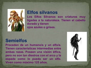 Elfos silvanos
Los Elfos Silvanos son criaturas muy
ligadas a la naturaleza. Tienen el cabello
dorado y tienen
ojos azules o grises.

Semielfos
Proceden de un humano/a y un elfo/a.
Tienen características intermedias entre
ambas razas. Poseen una visión élfica,
pero no son tan diestros con el arco y la
espada como lo pueda ser un elfo.
Viven como máximo 125 años.

 
