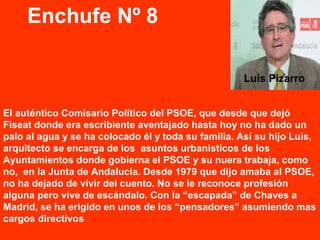 El auténtico Comisario Político del PSOE, que desde que dejó
Fiseat donde era escribiente aventajado hasta hoy no ha dado un
palo al agua y se ha colocado él y toda su familia. Así su hijo Luis,
arquitecto se encarga de los asuntos urbanisticos de los
Ayuntamientos donde gobierna el PSOE y su nuera trabaja, como
no, en la Junta de Andalucia. Desde 1979 que dijo amaba al PSOE,
no ha dejado de vivir del cuento. No se le reconoce profesión
alguna pero vive de escándalo. Con la “escapada” de Chaves a
Madrid, se ha erigido en unos de los “pensadores” asumiendo mas
cargos directivos
Enchufe Nº 8
Luis Pizarro
 