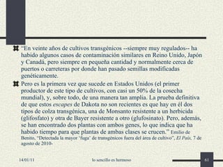 “ En veinte años de cultivos transgénicos --siempre muy regulados-- ha habido algunos casos de contaminación similares en Reino Unido, Japón y Canadá, pero siempre en pequeña cantidad y normalmente cerca de puertos o carreteras por donde han pasado semillas modificadas genéticamente. Pero es la primera vez que sucede en Estados Unidos (el primer productor de este tipo de cultivos, con casi un 50% de la cosecha mundial), y, sobre todo, de una manera tan amplia. La prueba definitiva de que estos  escapes  de Dakota no son recientes es que hay en él dos tipos de colza transgénica, una de Monsanto resistente a un herbicida (glifosfato) y otra de Bayer resistente a otro (glufosinato). Pero, además, se han encontrado dos plantas con ambos genes, lo que indica que ha habido tiempo para que plantas de ambas clases se crucen.”  Emilio de Benito, “Detectada la mayor ‘fuga’ de transgénicos fuera del área de cultivo”,  El País,  7 de agosto de 2010- 14/01/11 lo sencillo es hermoso 