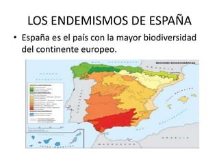 LOS ENDEMISMOS DE ESPAÑA
• España es el país con la mayor biodiversidad
del continente europeo.
 