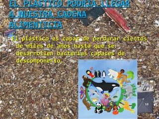 EL PLÁSTICO PODRÍA LLEGAR
A NUESTRA CADENA
ALIMENTICIA
El plástico es capaz de perdurar cientos
 de miles de años hasta que se
 desarrollen bacterias capaces de
 descomponerlo.




                                       10
 