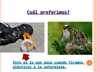 Cuál preferimos?




Esto es lo que pasa cuando tiramos   6

plásticos a la naturaleza.
 