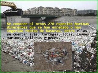 Se conocen al menos 270 especies marinas
diferentes que se han enredado o han
ingerido restos de basuras, entre ellas
se cuentan aves, tortugas, focas, leones
marinos, ballenas y peces.




                                           4
 