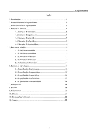 Los equinodermos
Índice
1. Introducción……………………………..................................……………..3
2. Características de los equinodermos.....................................………………..3
3. Clasificación de los equinodermos...……..................................…………….3
4. Función de nutrición........................................................................................4
4.1. Nutrición de crinoideos....................................................................5
4.2. Nutrición de equinoideos.................................................................6
4.3. Nutrición de asteroideos..................................................................7
4.4. Nutrición de ofiuroideos..................................................................9
4.5. Nutrición de holoturoideos.............................................................10
5. Función de relación.........................................................................................11
5.1. Relación de crinoideos....................................................................11
5.2. Relación de equinoideos.................................................................12
5.3. Relación de asteroideos..................................................................12
5.4. Relación de ofiuroideos..................................................................14
5.5. Relación de holoturoideos..............................................................14
6. Función de reproducción................................................................................15
6.1. Reproducción de crinoideos...........................................................15
6.2. Reproducción de equinoideos........................................................16
6.3. Reproducción de asteroideos.........................................................16
6.4. Reproducción de ofiuroideos.........................................................17
6.5. Reproducción de holoturoideos.....................................................18
7. Curiosidades..................................................................................................18
8. Lectura...........................................................................................................18
9. Conclusiones……...…………………….......................................................20
10. Glosario………………………………........................................................21
11. Bibliografía y biblioweb………………..…...........................…...………..22
12. Anexos……………………………………...............................…………..22
2
 