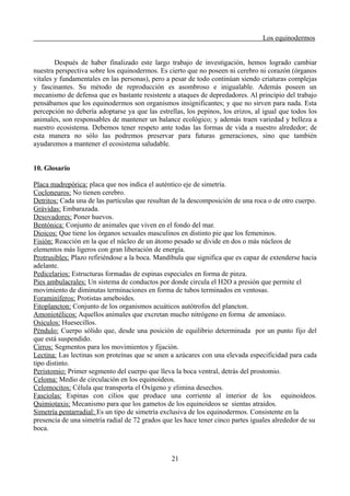 Los equinodermos
Después de haber finalizado este largo trabajo de investigación, hemos logrado cambiar
nuestra perspectiva sobre los equinodermos. Es cierto que no poseen ni cerebro ni corazón (órganos
vitales y fundamentales en las personas), pero a pesar de todo continúan siendo criaturas complejas
y fascinantes. Su método de reproducción es asombroso e inigualable. Además poseen un
mecanismo de defensa que es bastante resistente a ataques de depredadores. Al principio del trabajo
pensábamos que los equinodermos son organismos insignificantes; y que no sirven para nada. Esta
percepción no debería adoptarse ya que las estrellas, los pepinos, los erizos, al igual que todos los
animales, son responsables de mantener un balance ecológico; y además traen variedad y belleza a
nuestro ecosistema. Debemos tener respeto ante todas las formas de vida a nuestro alrededor; de
esta manera no sólo las podremos preservar para futuras generaciones, sino que también
ayudaremos a mantener el ecosistema saludable.
10. Glosario
Placa madrepórica: placa que nos indica el auténtico eje de simetría.
Cocloneuros: No tienen cerebro.
Detritos: Cada una de las partículas que resultan de la descomposición de una roca o de otro cuerpo.
Grávidas: Embarazada.
Desovadores: Poner huevos.
Bentónica: Conjunto de animales que viven en el fondo del mar.
Dioicos: Que tiene los órganos sexuales masculinos en distinto pie que los femeninos.
Fisión: Reacción en la que el núcleo de un átomo pesado se divide en dos o más núcleos de
elementos más ligeros con gran liberación de energía.
Protrusibles: Plazo refiriéndose a la boca. Mandíbula que significa que es capaz de extenderse hacia
adelante.
Pedicelarios: Estructuras formadas de espinas especiales en forma de pinza.
Pies ambulacrales: Un sistema de conductos por donde circula el H2O a presión que permite el
movimiento de diminutas terminaciones en forma de tubos terminados en ventosas.
Foraminíferos: Protistas ameboides.
Fitoplancton: Conjunto de los organismos acuáticos autótrofos del plancton.
Amoniotélicos: Aquellos animales que excretan mucho nitrógeno en forma de amoníaco.
Osículos: Huesecillos.
Péndulo: Cuerpo sólido que, desde una posición de equilibrio determinada por un punto fijo del
que está suspendido.
Cirros: Segmentos para los movimientos y fijación.
Lectina: Las lectinas son proteínas que se unen a azúcares con una elevada especificidad para cada
tipo distinto.
Peristomio: Primer segmento del cuerpo que lleva la boca ventral, detrás del prostomio.
Celoma: Medio de circulación en los equinoideos.
Celomocitos: Célula que transporta el Oxígeno y elimina desechos.
Fasciolas: Espinas con cilios que produce una corriente al interior de los equinoideos.
Quimiotaxis: Mecanismo para que los gametos de los equinoideos se sientas atraidos.
Simetría pentarradial: Es un tipo de simetría exclusiva de los equinodermos. Consistente en la
presencia de una simetría radial de 72 grados que les hace tener cinco partes iguales alrededor de su
boca.
21
 