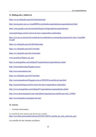 Los equinodermos
11. Bibliografía y biblioweb
https://es.m.wikipedia.org/wiki/Echinodermata
http://encina.pntic.mec.es/-nmeb0000/invertebrados/equinodermos/equinodermos2.html
https://sites.google.com/site/amautabiologia/zoologia/phylum.equinodermos
cienciaybiologia.com/los-erizos-de-mar-o-equinoideos-echinoidea/
http://ocw.um.es/ciencias/diversidad-de-invertebrados-no-artropodos/material-de-clase-1/ina2008-
t11.pdf
https://es.wikipedia.org/wiki/Holothuroidea
https://es.wikipedia.org/wiki/Crinoidea
https://es.wikipedia.org/wiki/Asteroidea
www.ecured.cu/Pepino_de_mar
http://m.monografias.com/trabajos87/equinodermos/equinodermos.shtml
http://cienciasdejoseleg.blogspot.com.es
http://www.asturnatura.com/
https://es.wikipedia.org/wiki/Crinoidea
http://curiosomundoazul.blogspot.com.es/2009/09/la-estrella-de-mar.html
http://cienciaybiologia.com/los-erizos-de-mar-o-equinoideos-echinoidea/
http://www.monografias.com/trabajos87/equinodermos/equinodermos.shtml
http://www.ehowenespanol.com/vida-habitat-reproduccion-estrella-mar-info_334056/
http://www.biopedia.com/pepino-de-mar/
12. Anexos
– Lecturas interesantes:
La estrella de mar asesina que devora los corales:
http://www.bbc.com/mundo/noticias/2014/02/140218_estrella_de_mar_carnivora_amv
Las estrellas de mar intentan suicidarse:
22
 