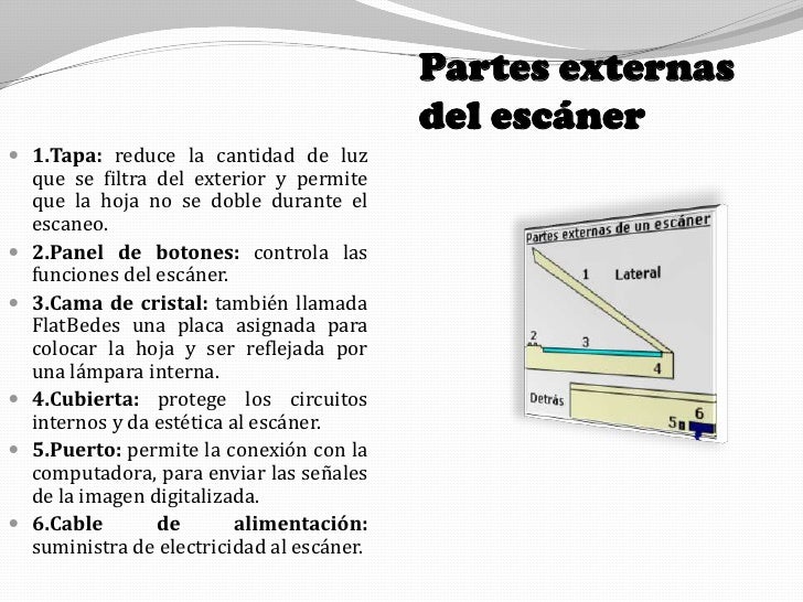 De Donde Viene La Palabra Escaner