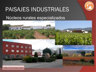 PAISAJES INDUSTRIALES
Núcleos rurales especializados
http://covinas.com
 