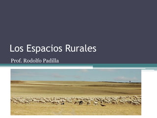 Los Espacios Rurales Prof. Rodolfo Padilla 