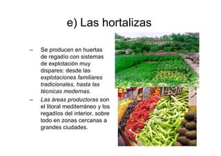 e) Las hortalizas

–   Se producen en huertas
    de regadío con sistemas
    de explotación muy
    dispares: desde las
    explotaciones familiares
    tradicionales, hasta las
    técnicas modernas.
–   Las áreas productoras son
    el litoral mediterráneo y los
    regadíos del interior, sobre
    todo en zonas cercanas a
    grandes ciudades.

                                    18
 
