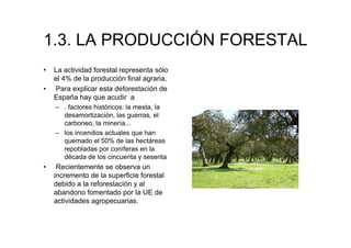 1.3. LA PRODUCCIÓN FORESTAL
33

     •   La actividad forestal representa sólo
         el 4% de la producción final agraria.
     •   Para explicar esta deforestación de
         España hay que acudir a
         – . factores históricos: la mesta, la
           desamortización, las guerras, el
           carboneo, la minería...
         – los incendios actuales que han
           quemado el 50% de las hectáreas
           repobladas por coníferas en la
           década de los cincuenta y sesenta
     •    Recientemente se observa un
         incremento de la superficie forestal
         debido a la reforestación y al
         abandono fomentado por la UE de
         actividades agropecuarias.
 