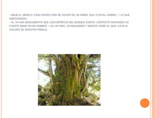 - ABUELO, ABUELO, ESAS RAÍCES SON DE COLOR DE UN ÁRBOL QUE VI EN EL CAMINO. – LE DIJE
EMOCIONADO-
- SI, YA HAS DESCUBIERTO QUE LOS ESPÍRITUS DEL BOSQUE EXISTE- CONTESTÓ APOYANDO SU
FUERTE MANO EN MI HOMBRO – ES UN PINO, UN MILENARIO Y MÁGICO COMO EL QUE LLEVA EL
ESCUDO DE NUESTRA FAMILIA.
 