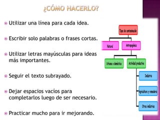  Usar expresiones propias.