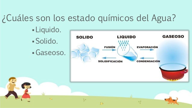Los estados del agua!