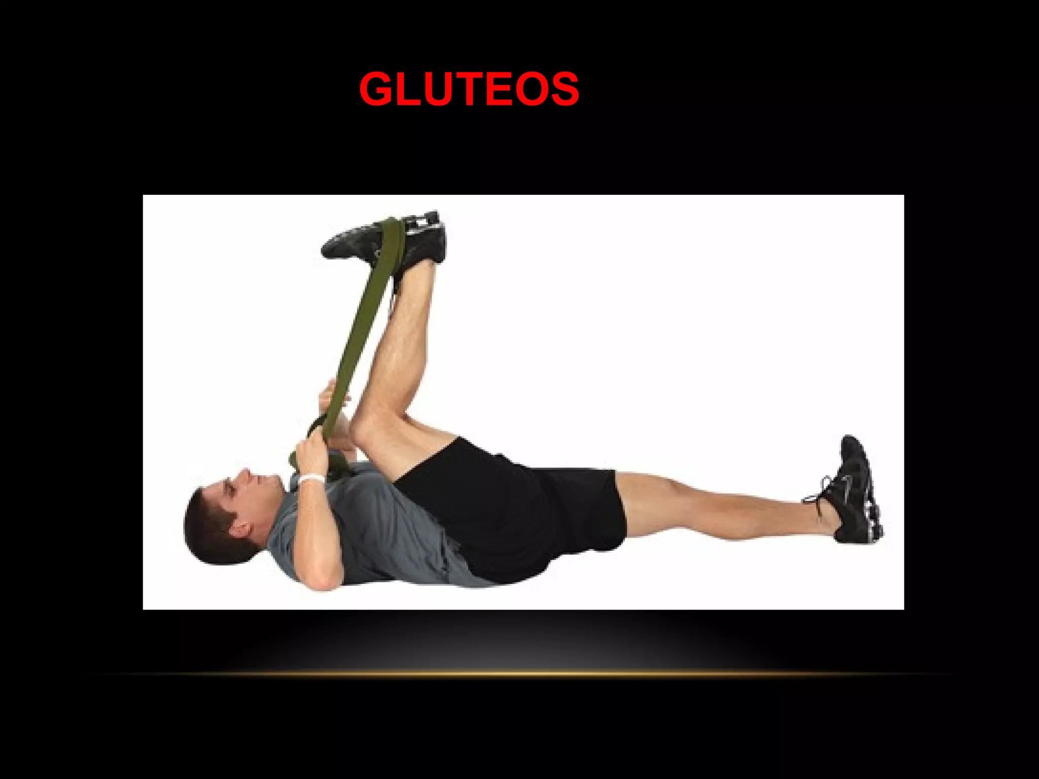 GLUTEOS
 