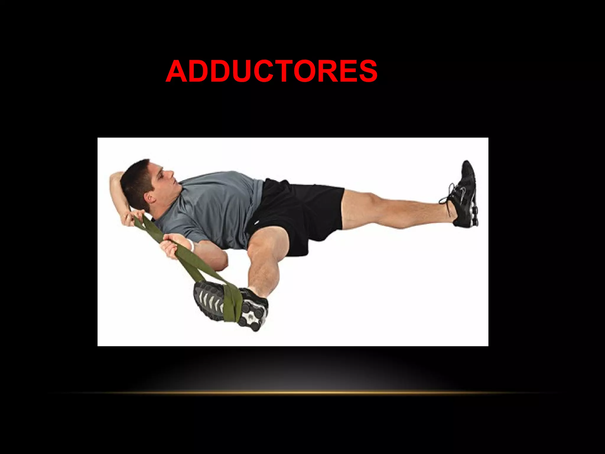 ADDUCTORES
 