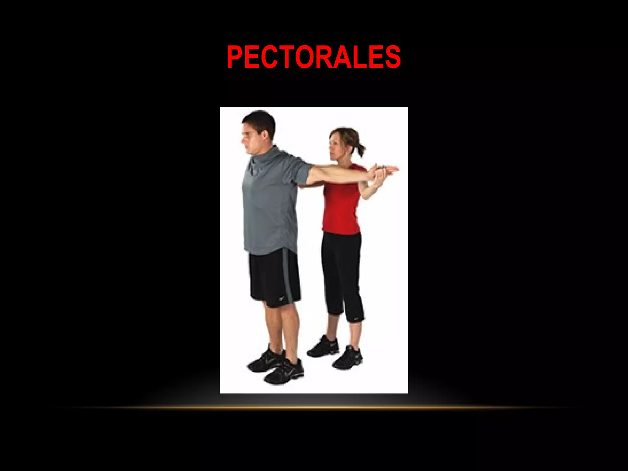 PECTORALES
 