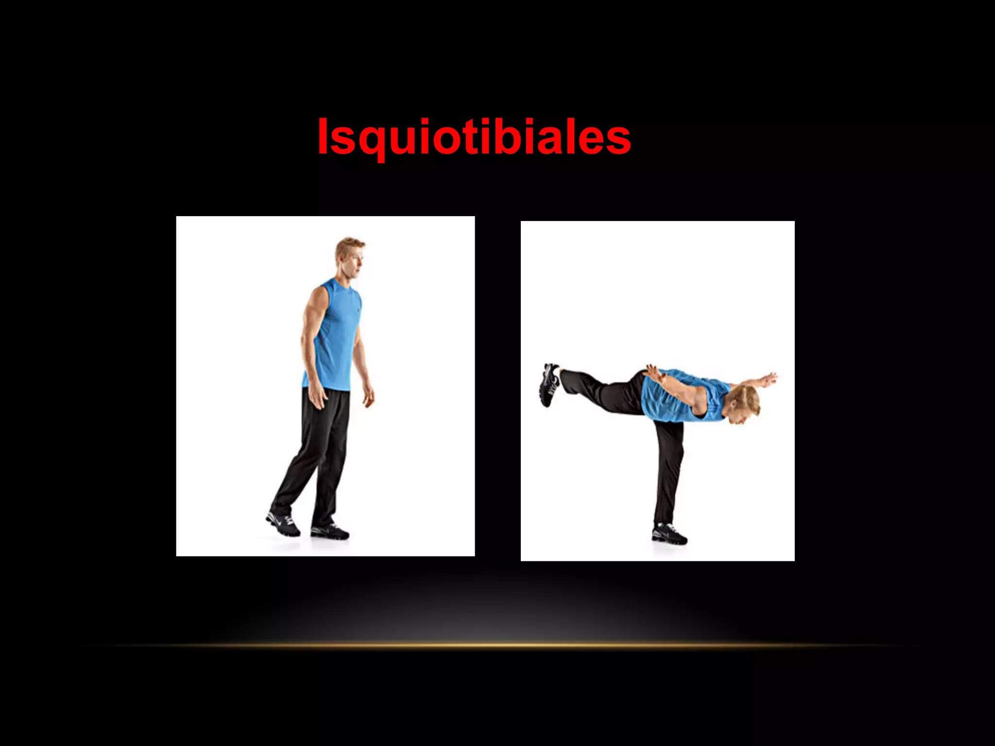 Isquiotibiales
 