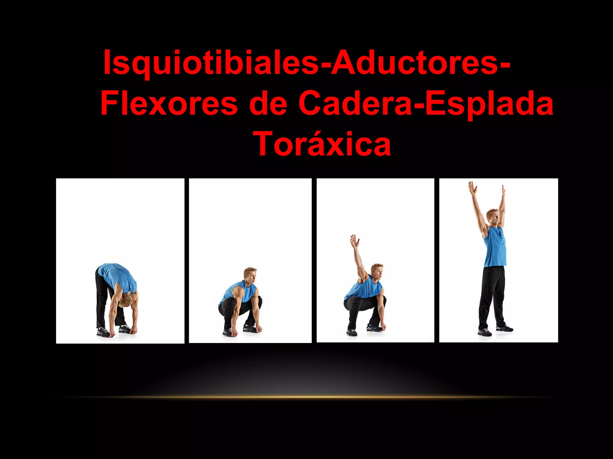 Isquiotibiales-Aductores-
Flexores de Cadera-Esplada
Toráxica
 