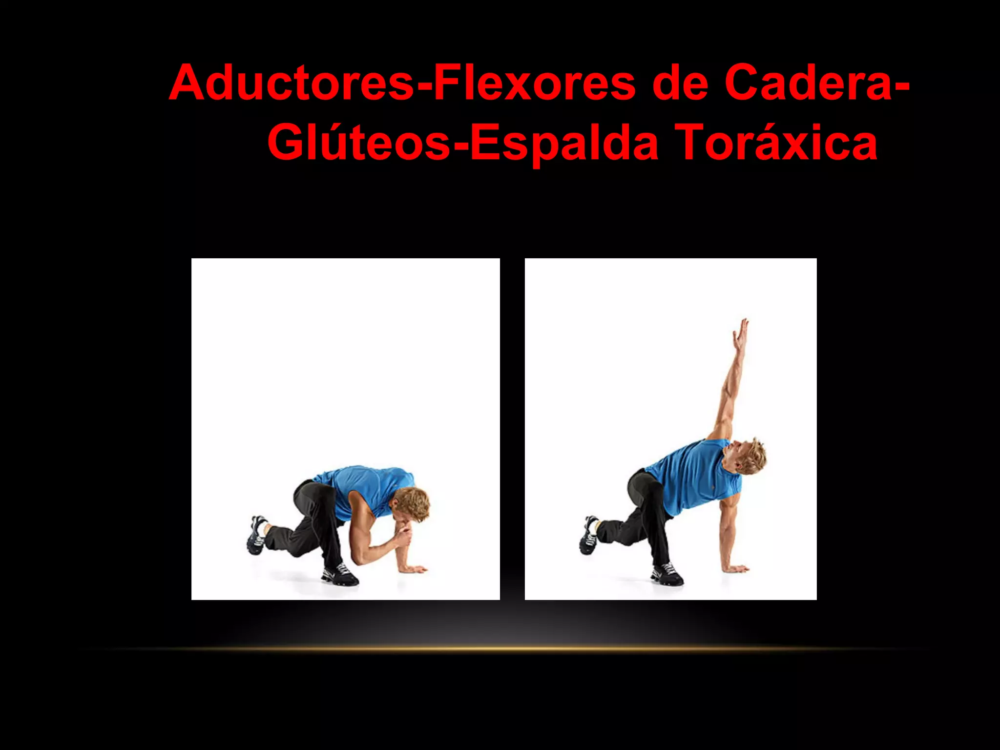 Aductores-Flexores de Cadera-
Glúteos-Espalda Toráxica
 
