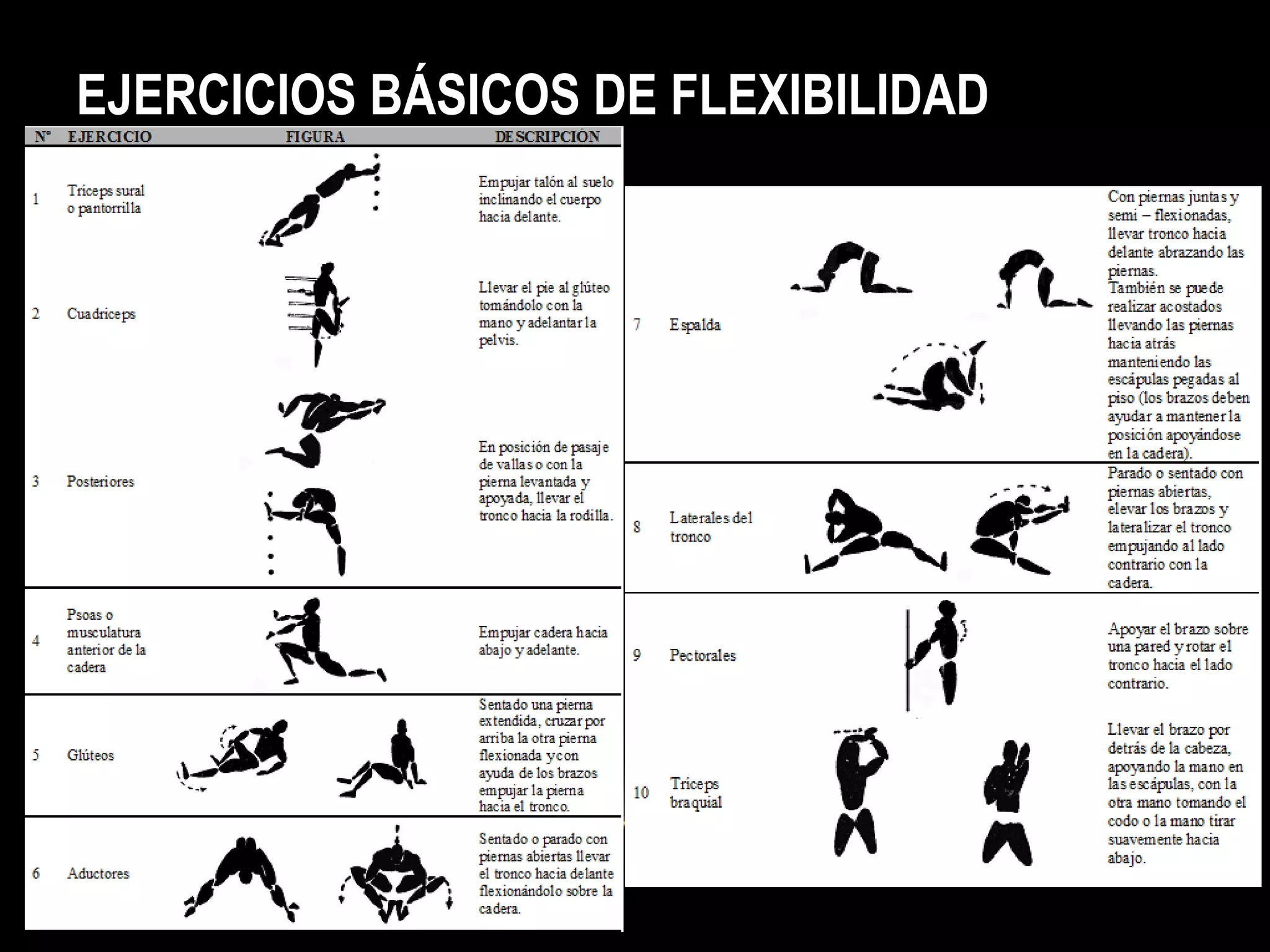 EJERCICIOS BÁSICOS DE FLEXIBILIDAD
 