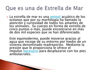    La estrella de mar es una animal acuático de los
    océanos que por su morfología ha llamado la
    atención y curiosidad de todos los amantes de
    los animales. Su cuerpo en forma de estrella de
    cinco puntas o más, puede encontrarse en más
    de dos mil especies que se han diferenciado.
    Este equinodermo, puede moverse gracias al
    agua que recoge de su entorno por medio de un
    sistema denominado madreporito. Mediante la
    presión que le proporciona le ofrece el
    impulso necesario para desplazarse con los pies
    ambulacrales.
 