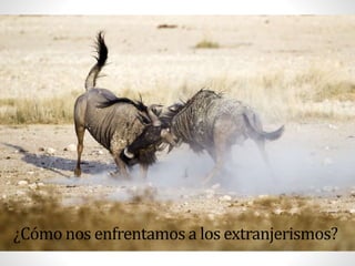 ¿Cómo nos enfrentamos a los extranjerismos?
 