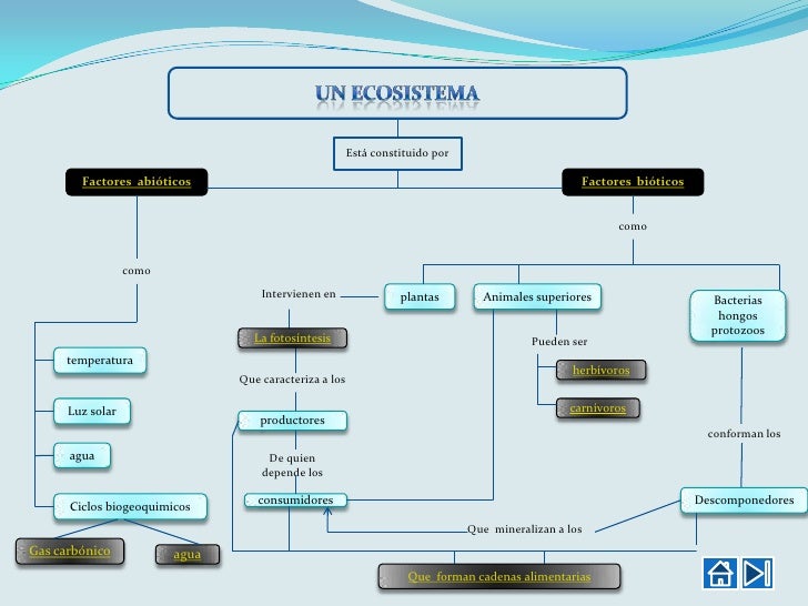 Los factores bióticos y abióticos y su influencia 1