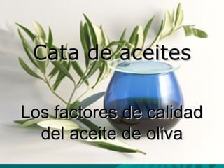 Los factores de calidadLos factores de calidad
del aceite de olivadel aceite de oliva
Cata de aceitesCata de aceites
 