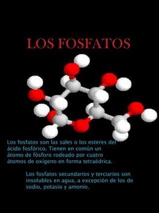 LOS FOSFATOS Los fosfatos son las sales o los esteres del ácido fosfórico. Tienen en común un átomo de fósforo rodeado por cuatro átomos de oxígenoen forma tetraédrica. Los fosfatos secundarios y terciarios son insolubles en agua, a excepción de los de sodio, potasio y amonio. 
