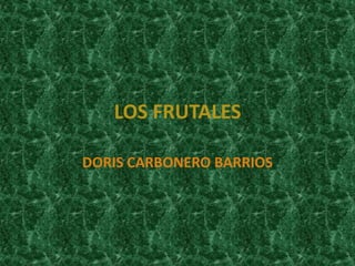 LOS FRUTALES

DORIS CARBONERO BARRIOS
 