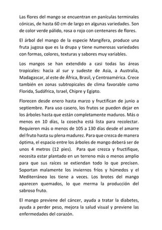 Las flores del mango se encuentran en panículas terminales
cónicas, de hasta 60 cm de largo en algunas variedades. Son
de color verde pálido, rosa o rojo con centenares de flores.
El árbol del mango de la especie Mangifera, produce una
fruta jugosa que es la drupa y tiene numerosas variedades
con formas, colores, texturas y sabores muy variables.
Los mangos se han extendido a casi todas las áreas
tropicales: hacia al sur y sudeste de Asia, a Australia,
Madagascar, al este de África, Brasil, y Centroamérica. Crece
también en zonas subtropicales de clima favorable como
Florida, Sudáfrica, Israel, Chipre y Egipto.
Florecen desde enero hasta marzo y fructifican de junio a
septiembre. Para uso casero, los frutos se pueden dejar en
los árboles hasta que están completamente maduros. Más o
menos en 10 días, la cosecha está lista para recolectar.
Requieren más o menos de 105 a 130 días desde el amarre
del fruto hasta su plena madurez. Para que crezca de manera
óptima, el espacio entre los árboles de mango deberá ser de
unos 4 metros (12 pies). Para que crezca y fructifique,
necesita estar plantado en un terreno más o menos amplio
para que sus raíces se extiendan todo lo que precisen.
Soportan malamente los inviernos fríos y húmedos y el
Mediterráneo los tiene a veces. Los brotes del mango
aparecen quemados, lo que merma la producción del
sabroso fruto.
El mango previene del cáncer, ayuda a tratar la diabetes,
ayuda a perder peso, mejora la salud visual y previene las
enfermedades del corazón.
 